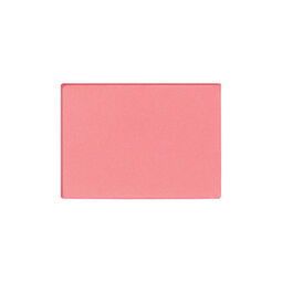 ブラッシュ　Ｎ（レフィル）